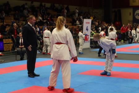 17. Mednarodni karate turnir Nestla Žganka