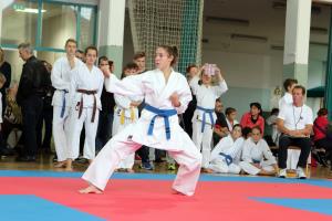 14589618_398568596933758_4293675984342879610_o