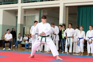 14633216_398569163600368_6050047162059160587_o