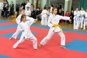 14681086_398570013600283_2467900982439961587_o