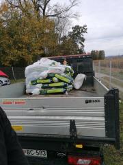 123120950_1265171847209278_231588384634841292_n