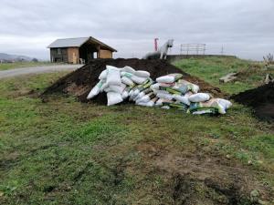 123213301_919674381895122_8038238857257646585_n