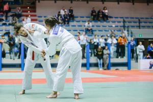 16426099_1383592888371842_6718133839544358074_n