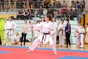 17854792_489973734459910_6473628303478629245_o