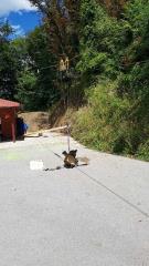 Resized_20170725_143418