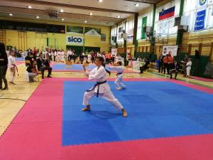 IMG_20170923_104454_1