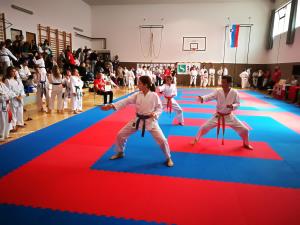 IMG_20180415_121400_1